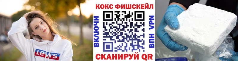COCAIN Fish Scale  Купить закладки  Брюховецкая 