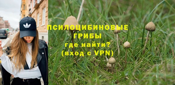 сатива Ладушкин