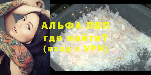 сатива Ладушкин