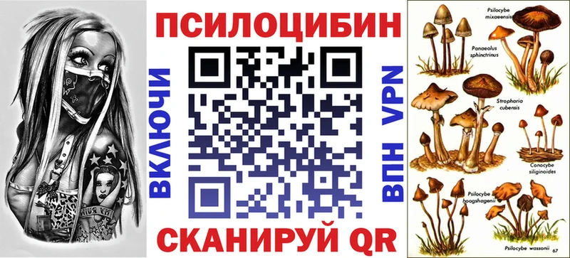 Галлюциногенные грибы мицелий  Купить закладки  Брюховецкая 