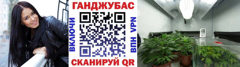 Конопля сатива  Купить где  Брюховецкая 